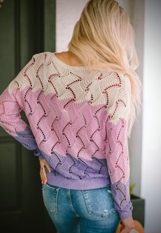 Back view of Women's Flirtatious Color Block Hollow Boat Neck Sweater
