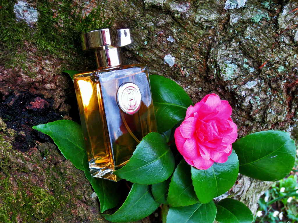 Fred Hayman Touch(Women): Timeless Elegance, Soft & Seductive