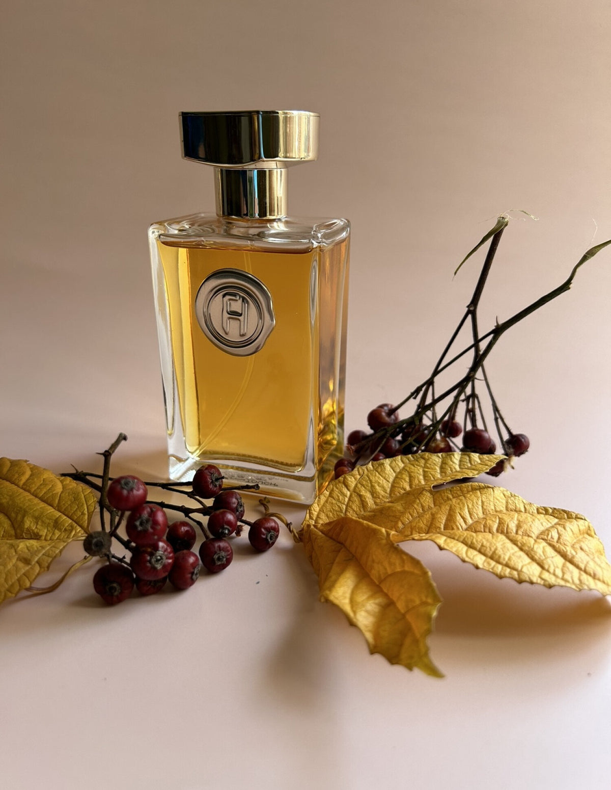 Fred Hayman Touch(Women): Timeless Elegance, Soft & Seductive