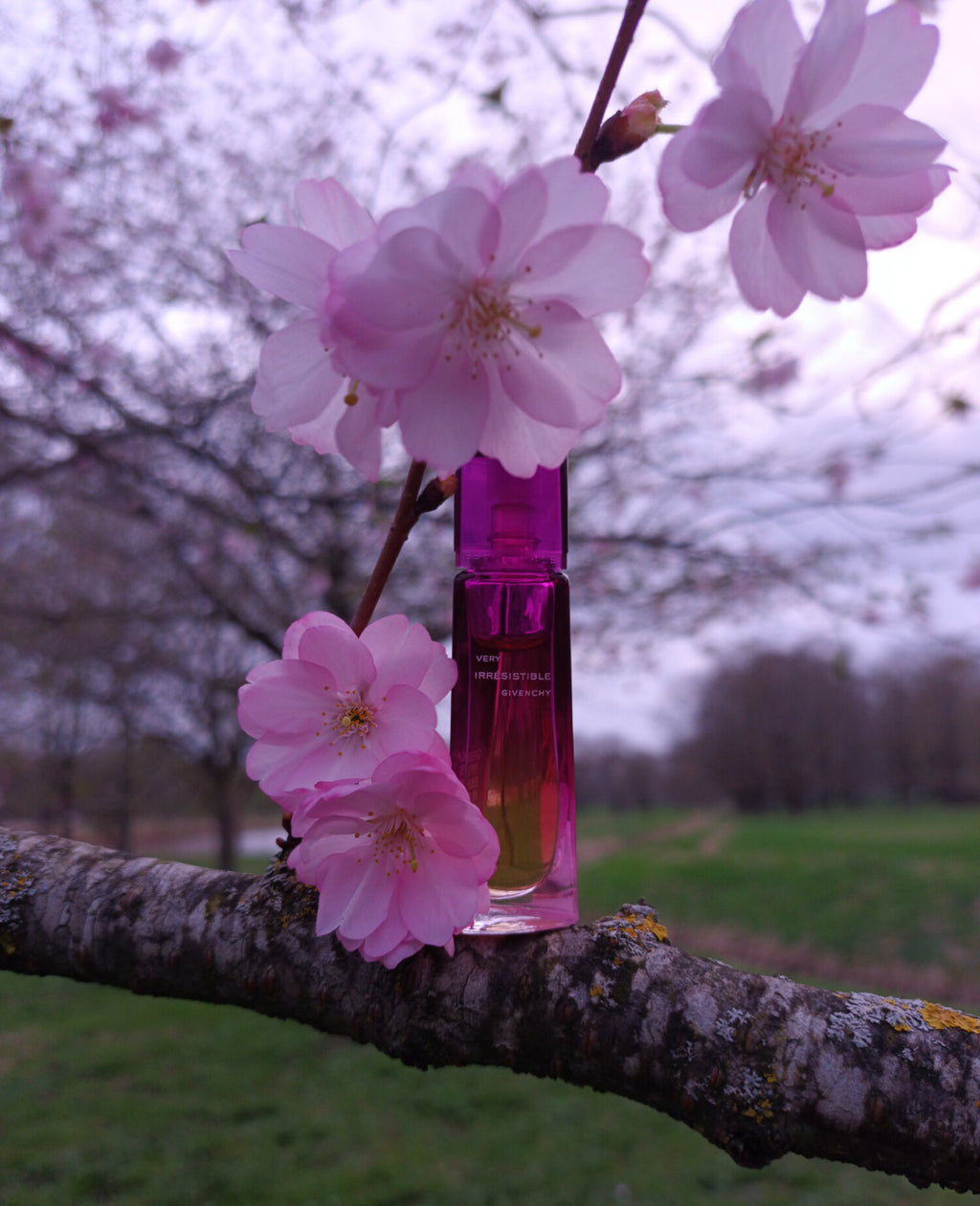 Givenchy Very Irresistible: Seductive Fire & Magnetic Allure