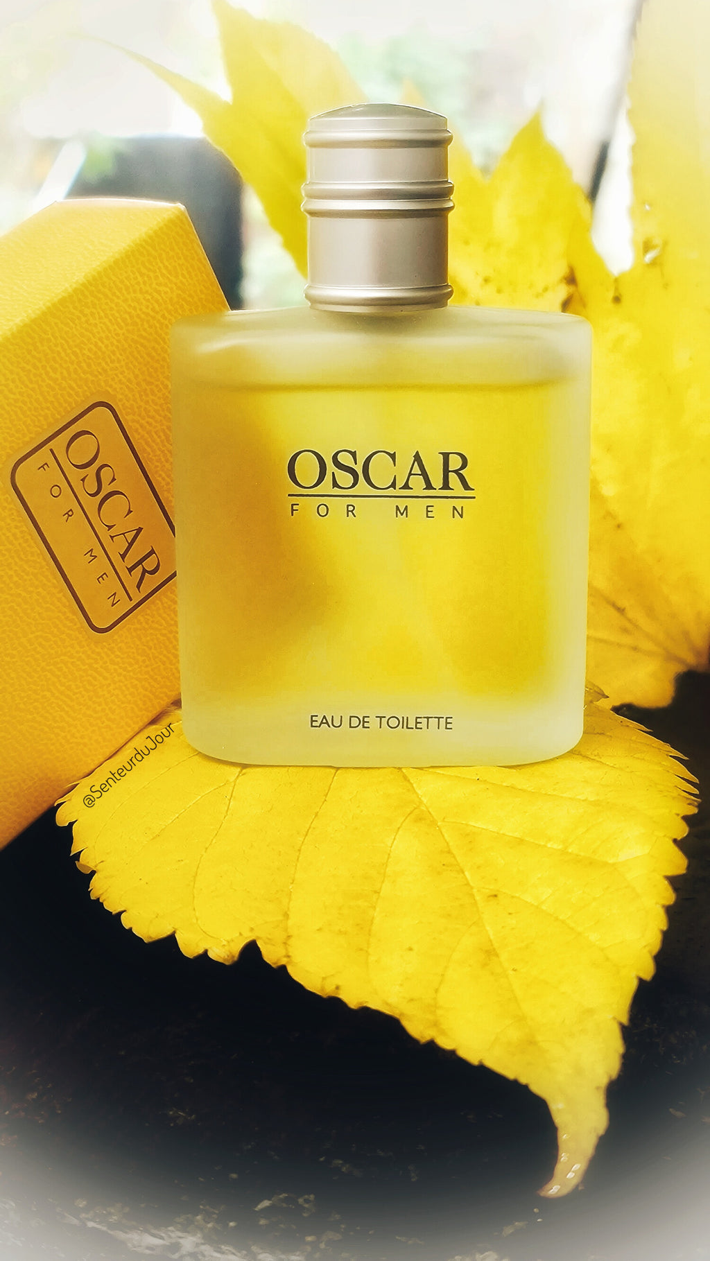 Oscar De La Renta: Bold Masculine Sophistication