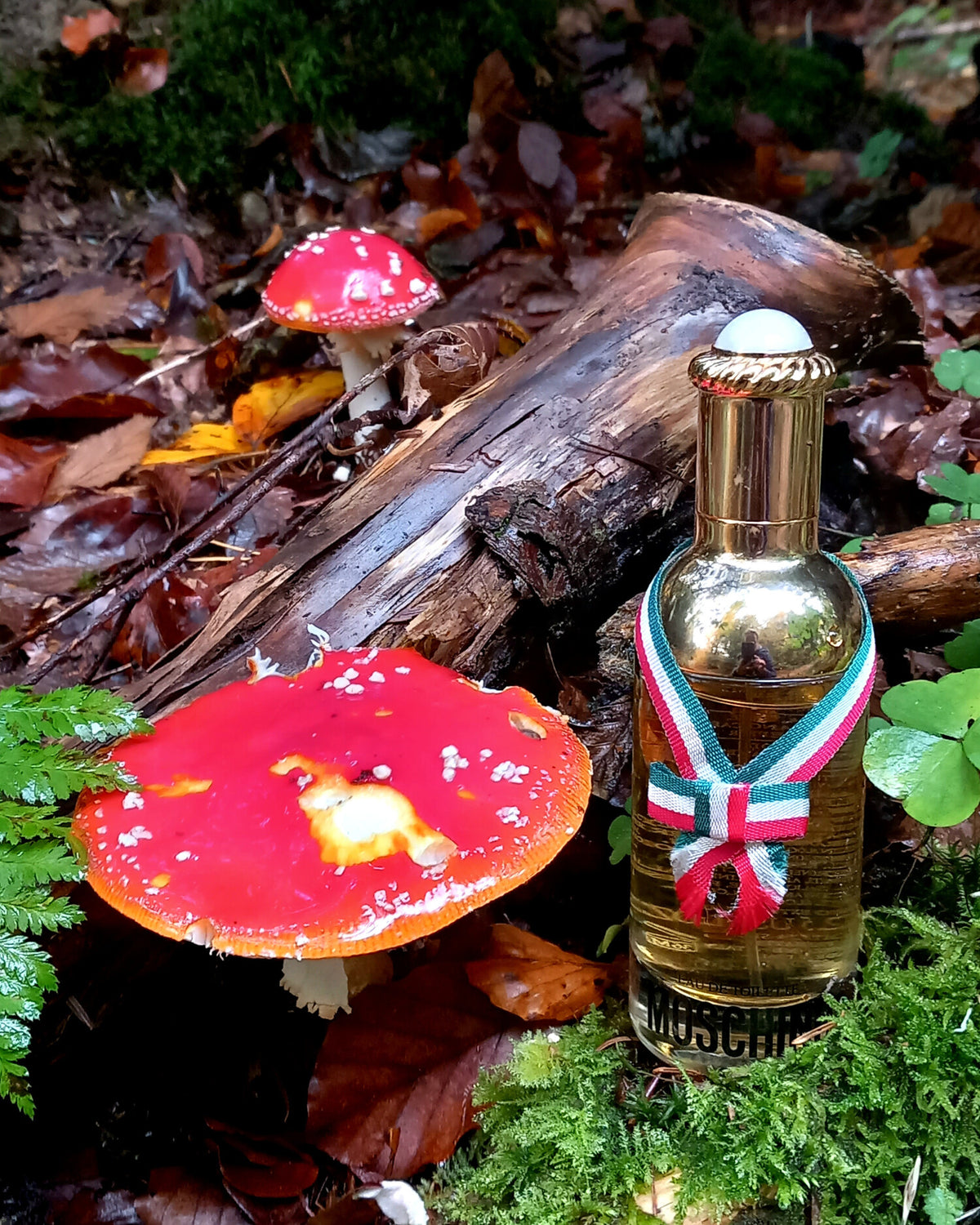 Moschino Perfume: Bold, Playful Feminine Energy