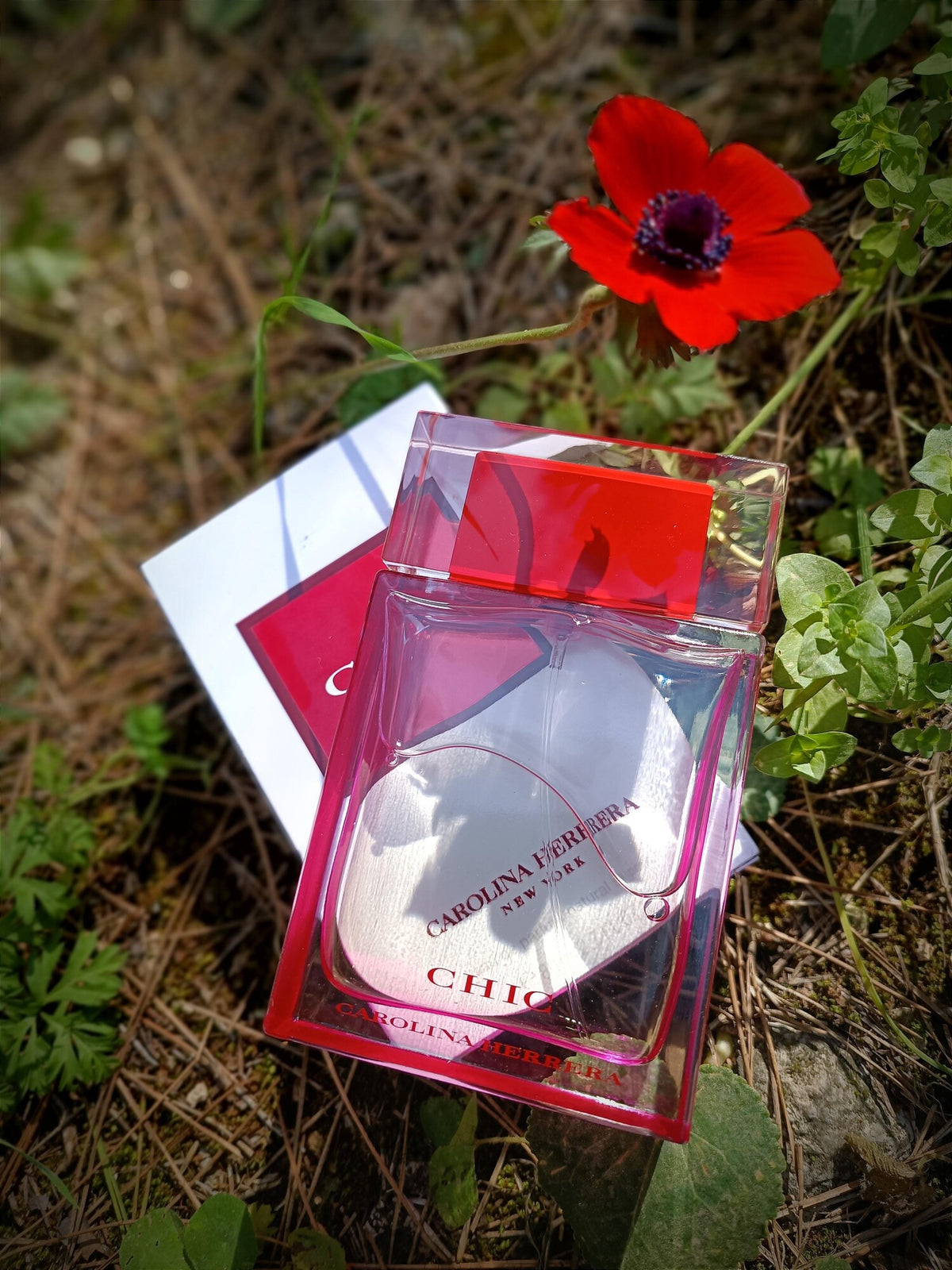 CH Chic Perfume: Timeless Feminine Elegance