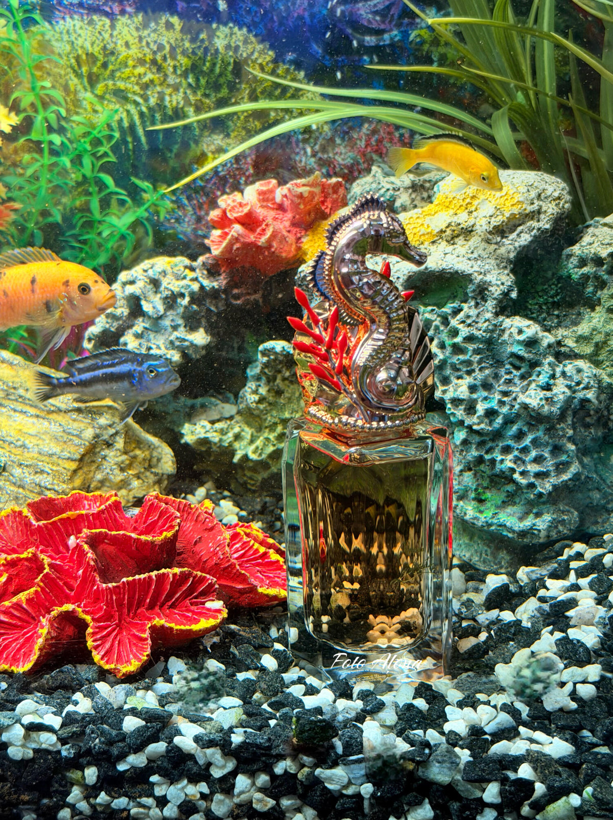 Loubihorse: Wild, Equine Elegance