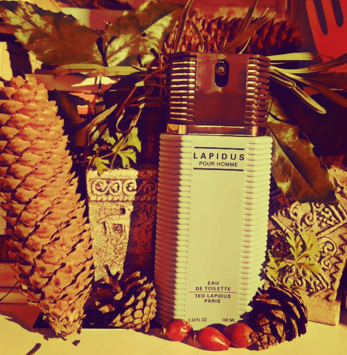 Ted Lapidus Lapidus Cologne: Timeless Elegance