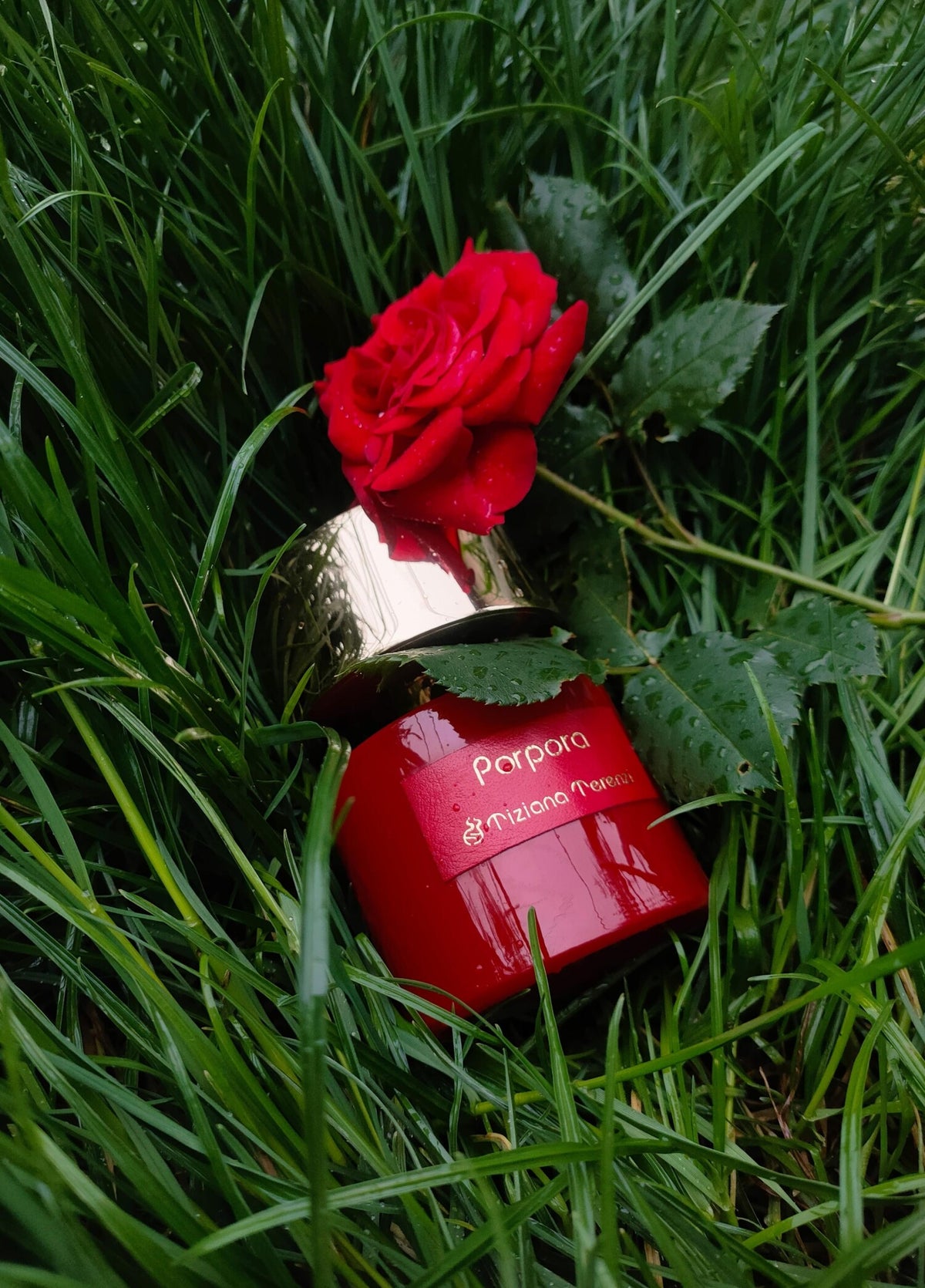Tiziana Terenzi Porpora: Royal Velvet & Floral Majesty