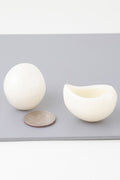 Vibrant ivory Retro Dome Stud Earrings