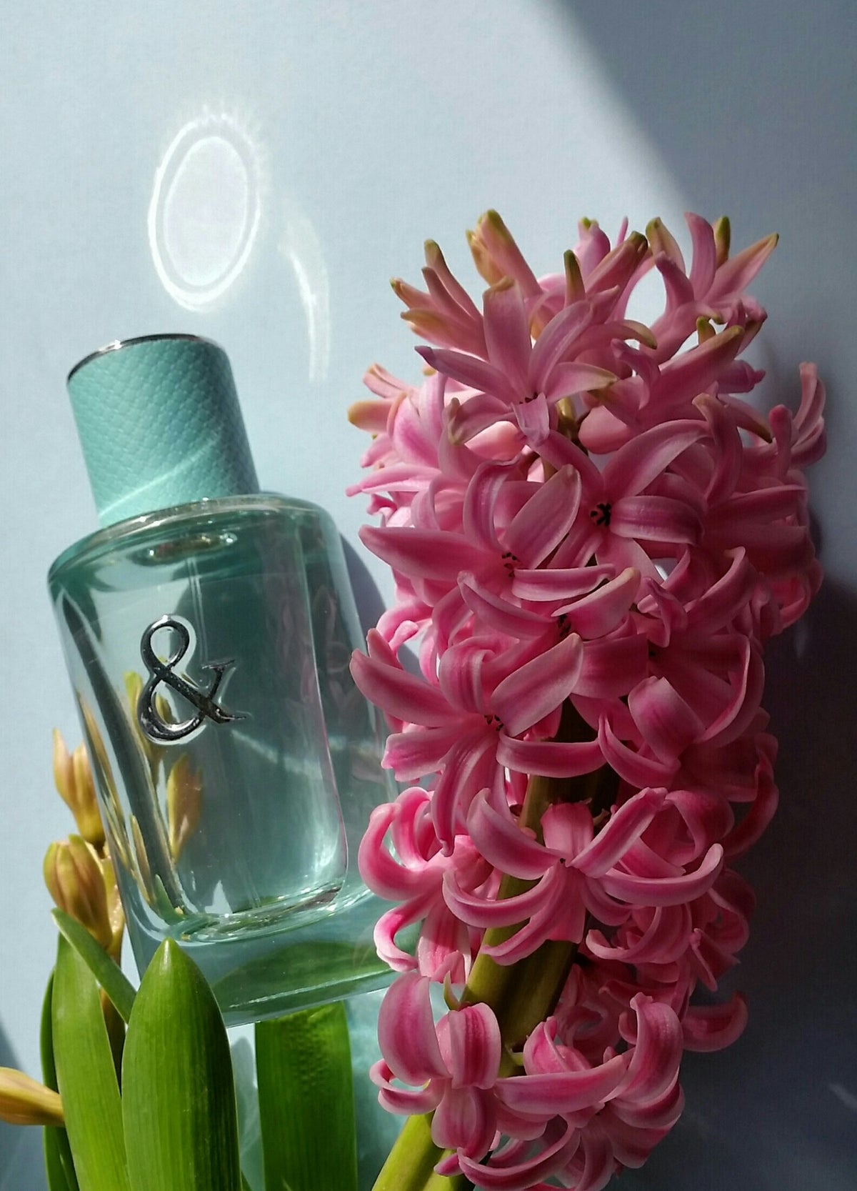 Tiffany & Love: Ethereal Romance & Pure Emotion